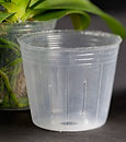 4.5" Clear disposable  Plastic  Pot