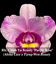 Rlc. Chien Ya Beauty 'Purple Rose' (Aloha Case x Tzeng-Wen Beauty)