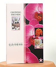 Growing Orchids- Great for Hobby Growers