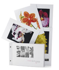 Orchid Postcards 16 volume 1