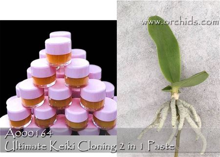 Ultimate Keiki Cloning 2 in 1 Paste - 10 g 