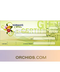 Orchids.com Gift Certificate