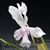V. Little Blossom  (Vanda falcata x Vanda  Miss Joaquim) 