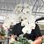 Mother's Ivory Pearl Butterfly Combo in Decopot
