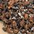 Norman's Premium Medium Orchid Mixes - 1/2 c.f.  (SHIPS UPS GROUND.)