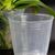4.5" Clear disposable  Plastic  Pot