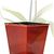 Red Modern Square Pot  5 Inches