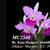 Bc. Kina Hamaya 'Sweetheart'  (Maikai ' Mayumi ' x C. Porcia)