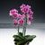 ~/Assets/ProductImages/MC2570_12d.jpg