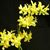 Phal. Stone Dance (Su-An Cricket   x equestris var alba 4N )