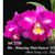 Rlc. Hsinying Mini Dancer 'Ching Ming'  (Mini Song x Li  Jiuan dancer)