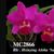Rlc. Hsinying Aloha 'Super' (Aloha Case x Li Jiuan Dancer)