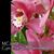 Cym. Fire Doll 'Swearheart' (Dolly x Beaconfire)