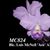 Blc. Lois McNeil 'Ace' AM/AOS (Blc. Victoria x C. Portiata)