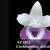 Cochleanthes. discolor  