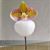 Paph. micranthum var eburneum (" Doung Ming ' x " Darling ")