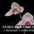 Paph. Chou-Yi Rookie  (thaianum ' Pearl' x rothschildianum ' Rex' FCC/AOS)