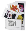 Orchid Postcards 16 volume 1
